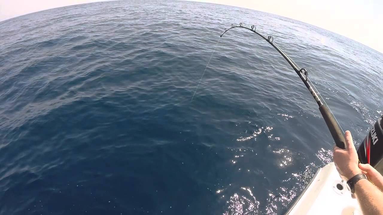 Huge Bull Mahi Landed by Big Buoy Sportfishing Guatemala GoPro HD