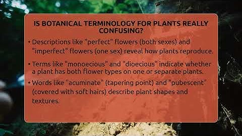 Is Botanical Terminology For Plants Really Confusing? - The Plant Enthusiast