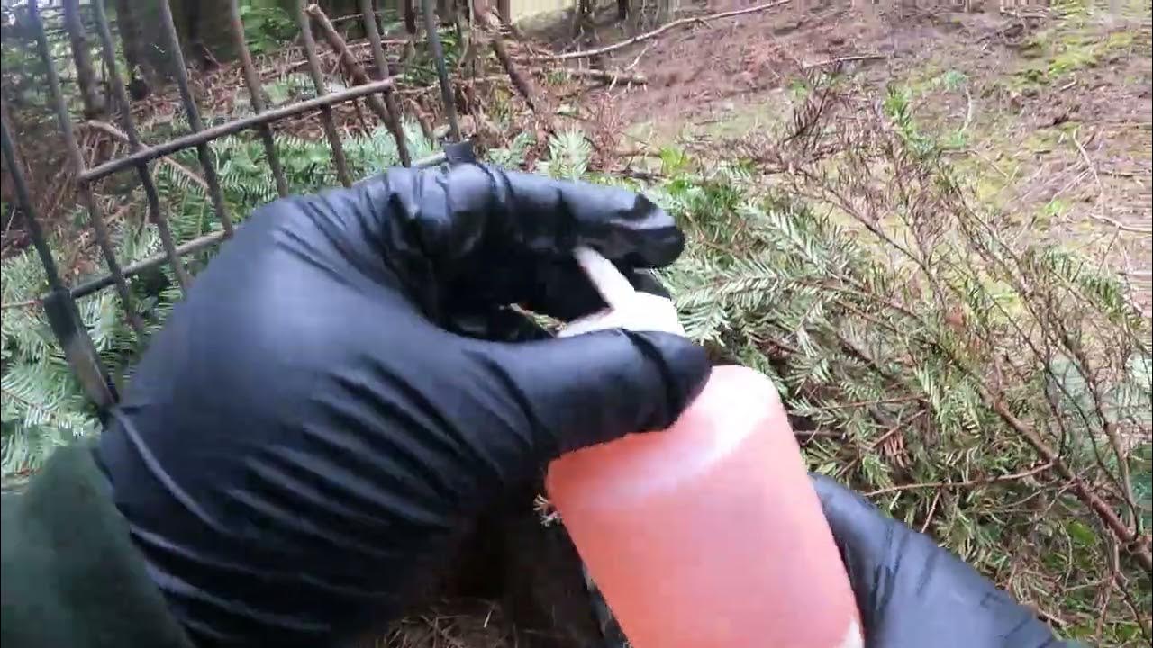 Dunlap Lures and TrapShed Supply Lure Cage setup for Oregon Bobcat