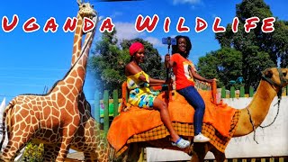 Uganda Wildlife Conservation Centre | My Trip to Entebbe Zoo || Lastest 2021 vlog ft Dear Dora