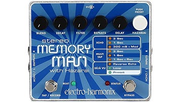Electro Harmonix Stereo Memory Man with Hazarai | Full Demo
