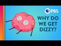 Understanding the Vestibular System and Dizziness