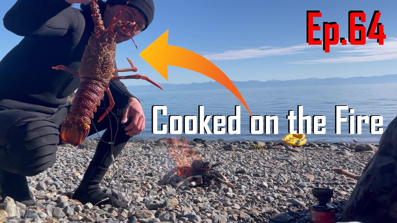 SOLO Catch and Cook Winter diving Crayfish YouTube