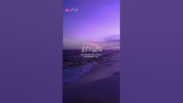 تلاوة خاشعة للشيخ ماهر المعيقلي سورة البقرة 🎧❤️‍🩹 #اكسبلور #أرح_سمعك_وقلبك #ماهر_المعيقلي #طمئن_قلبك