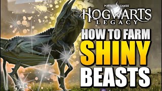Hogwarts Legacy - How to FARM SHINY BEASTS + Best Den Locations