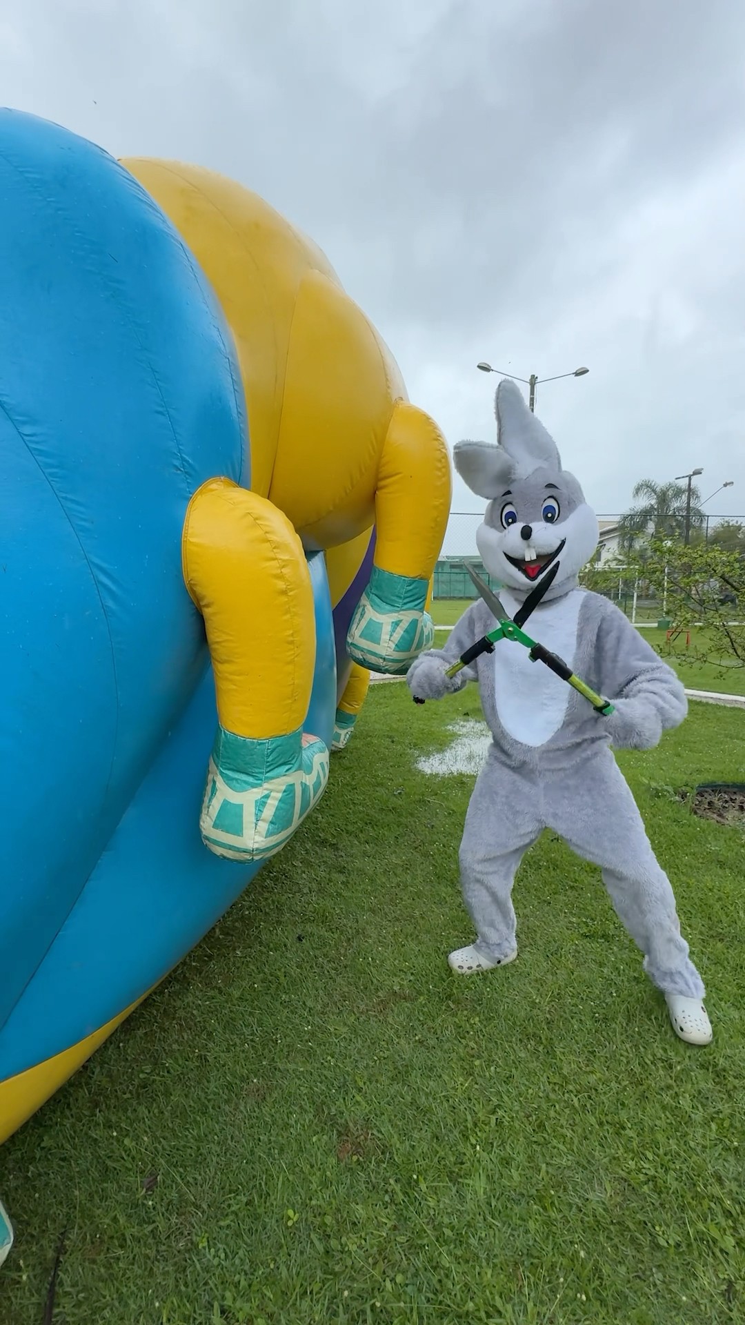 RABBIT ❌ CENTIPEDE