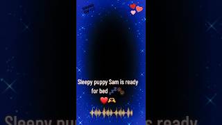 Sleepy Puppy Sem. Cute Dog Ready for Bedtime. #sleepypuppy  #dogsoftiktok #puppylove #shorts