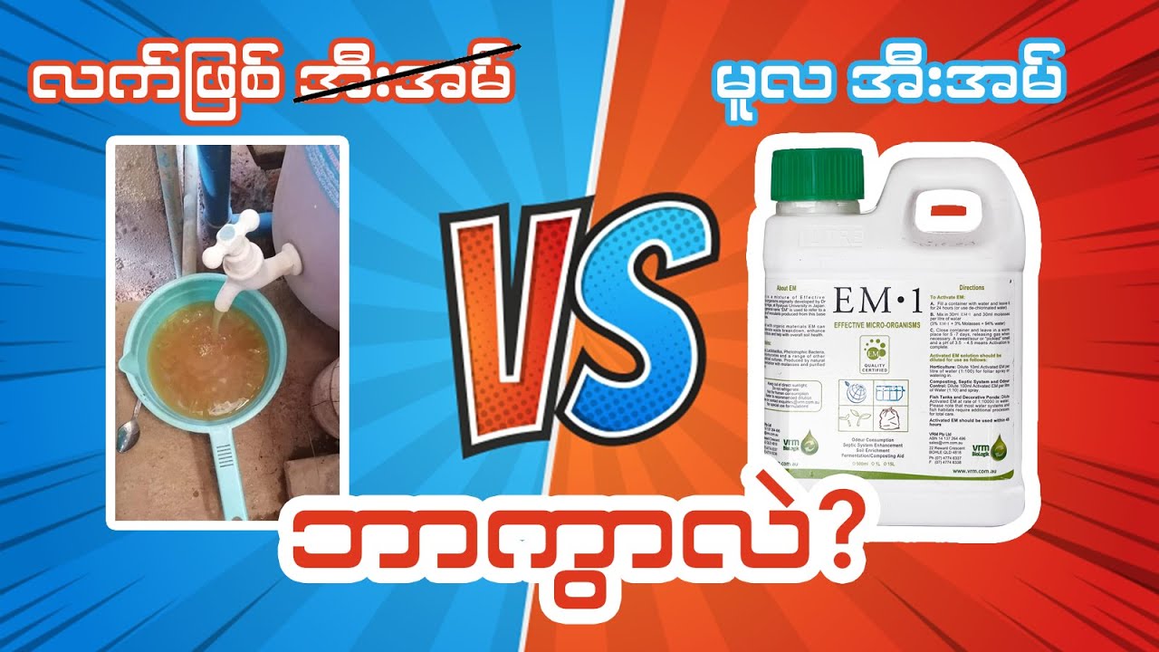 စိုက်ပျိုးမွေးမြူရေးမှာ လူတိုင်းနီးပါးသုံးချင်ကြတဲ့ အီးအမ်က ကိုယ်တိုင်လုပ်လို့ရလား?