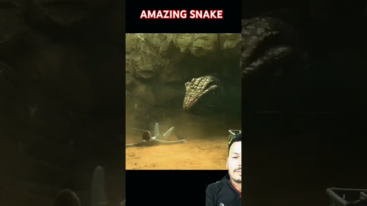 AMAZING SNAKE 