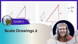 Scale drawings and area (7th grade math)