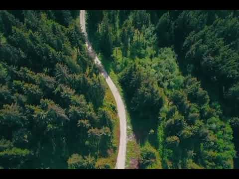 You can see this video and relax your mind||