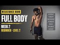 Week 2  resistance band full body workout level 2  12week training  program  fitness my life