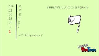 M.C.D. & m.c.m.      FATTORIZZAZIONE screenshot 3