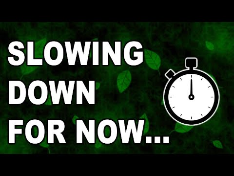Venaloid's slowdown plans