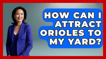 How Can I Attract Orioles To My Yard? - Exploring Campgrounds