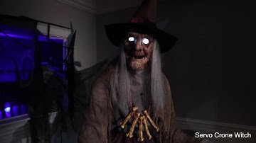 6634F Servo Crone Witch