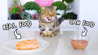 Cats Pick Real vs Can Fish