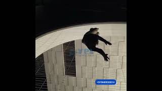 Invisible Grill Installation in ECR Chennai | Strong & Stylish Terrace Safety | YPL Invisible Grill
