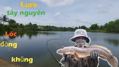 Lure cá lóc tây nguyên.môt ngày trải nghiệm cùng tem...lôi hugo muốn rớt xuốn hồ