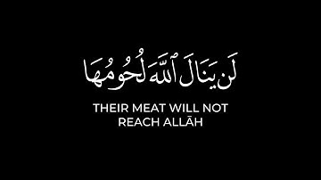 لن ينال الله لحومها ولا دماؤها | فارس عباد كرومات سورة الحج شاشة سوداء | آيات العيد والأضحية