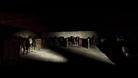 ASMONGOLD SHOWS COCONUTB AND SUSPECT HIS MOUNTS