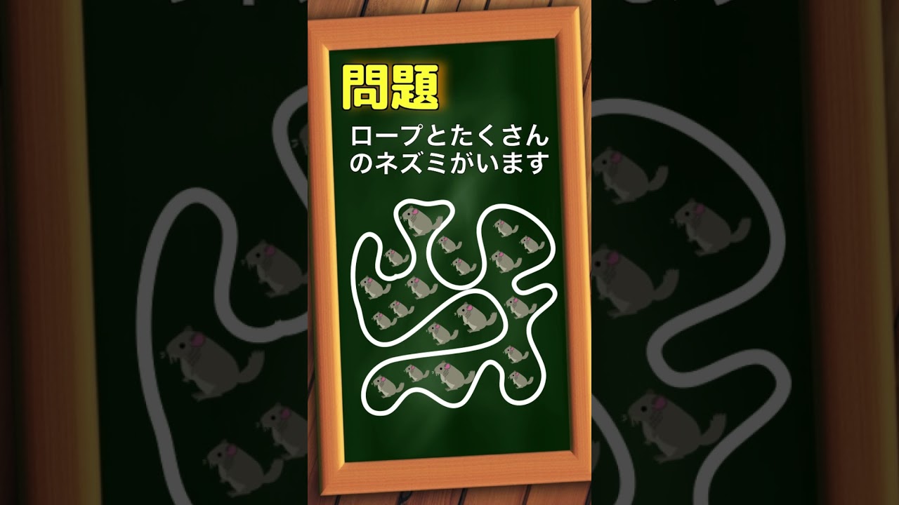 1分クイズ#クイズ #マジカルクイズ #脳トレ