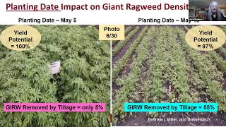 Essential Row Crop Management: Pre-emergence herbicide programs