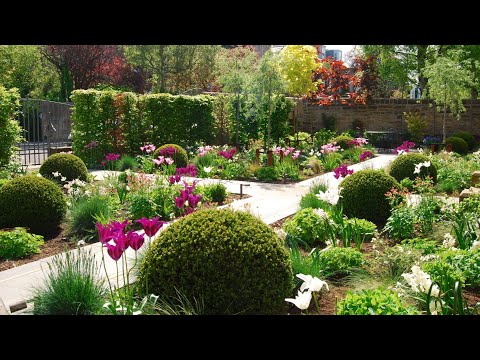 🌺Красивые идеи для красивого сада / Ideas for the garden / A - Video