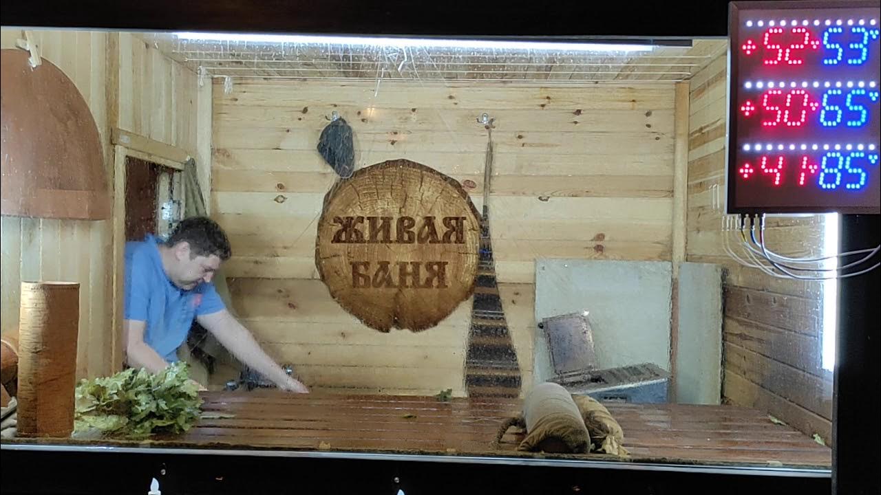 Банное обучение. Банное обучение. Банное обучение. Банное обучение. Живая баня курсы парения.