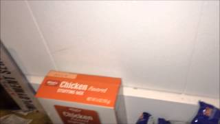 Crane Fly Flitting About