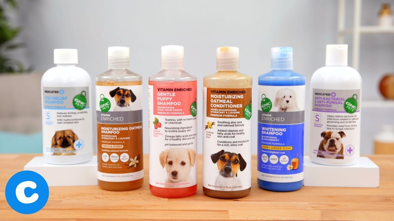 gnc medicated shampoo for dogs