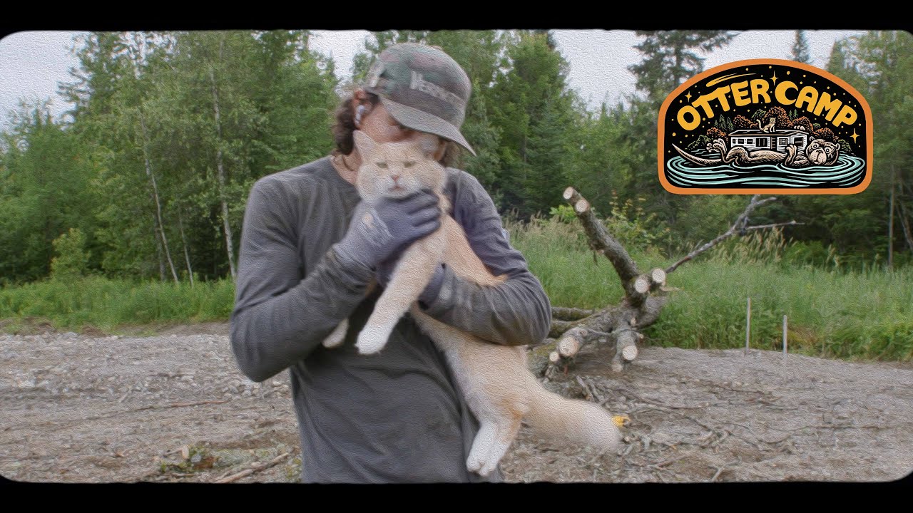 OTRCMP EP21 Putting the Dewalt 60V Sawzall to the Test YouTube