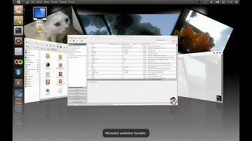 Ubuntu 11.04 unity - 3.2.2