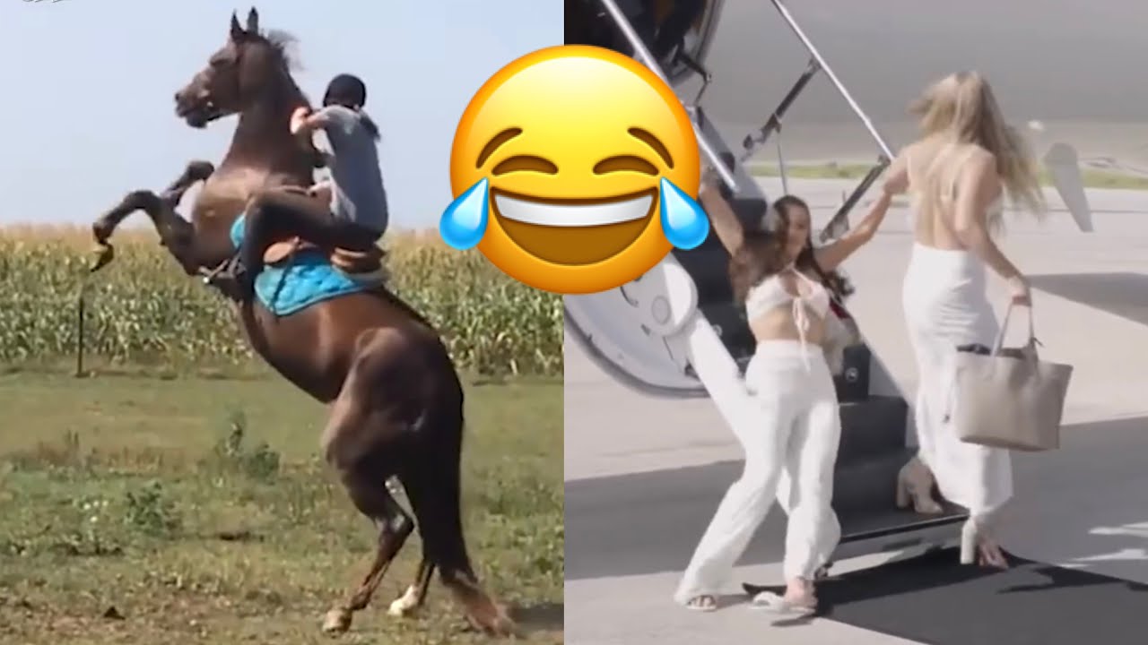 Best funny video can’t stop laughing challenge 😂 - YouTube