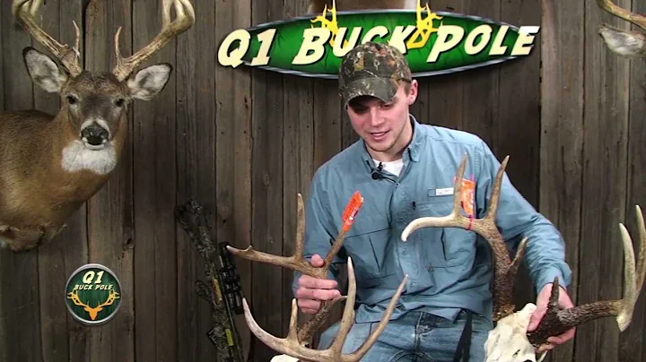 Q1 Buck Pole Webisode 16