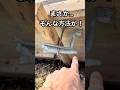 型枠大工の裏技に驚愕