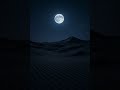 On A Quiet Night Under The Moonlight Your Eyes Tell Every Story Layla W Uyunak A Love Song 