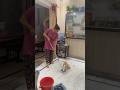 Jacks ki masti#labrador #youtubeshorts #bestfeed shorts#dog#viral
