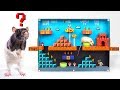 Labirinto DIY de Ratinho de Estimação ao Estilo do Jogo Super Mario ❓🐁