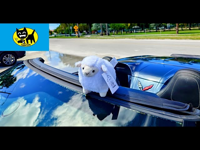 MR SHEEP - Unboxing and review! - YouTube