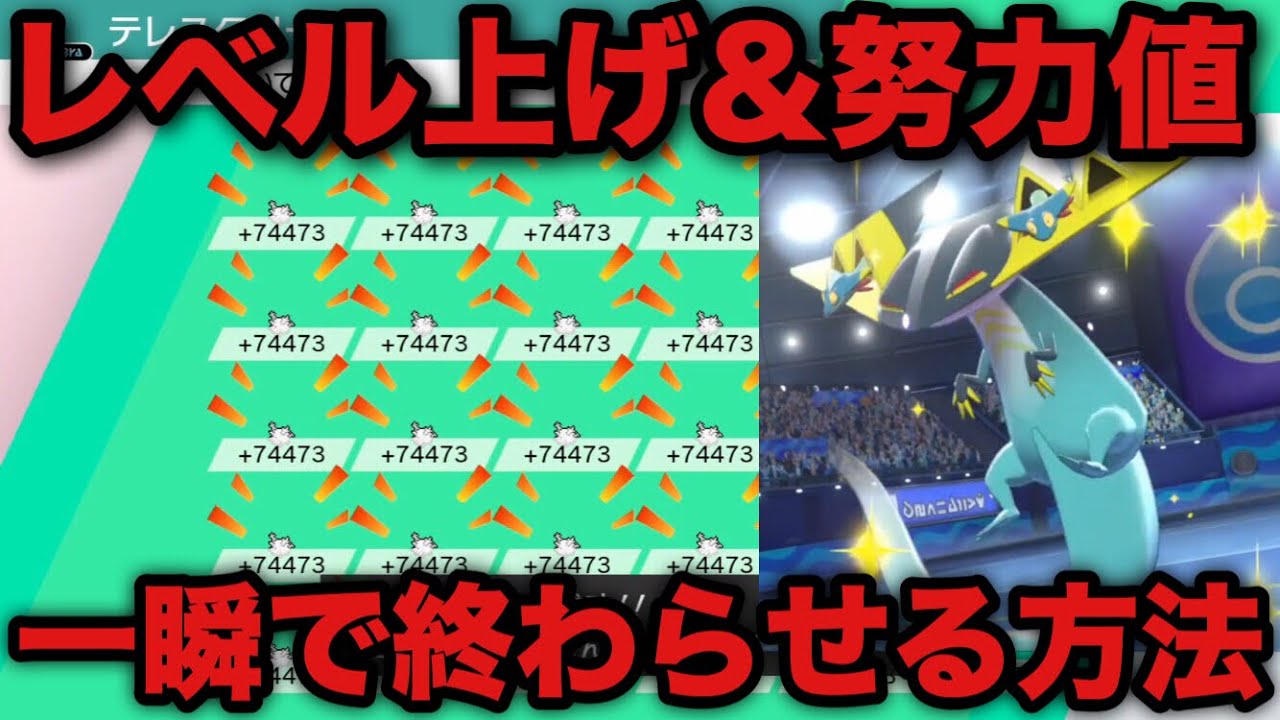 ポケモン剣盾 レベル上げと努力値振りを一瞬で終わらせる方法 ソード シールド Z猫