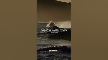 تلاوة مباركة بصوت جميل #اكسبلور #quran #القرآن #القرآن_الكريم #قرآن