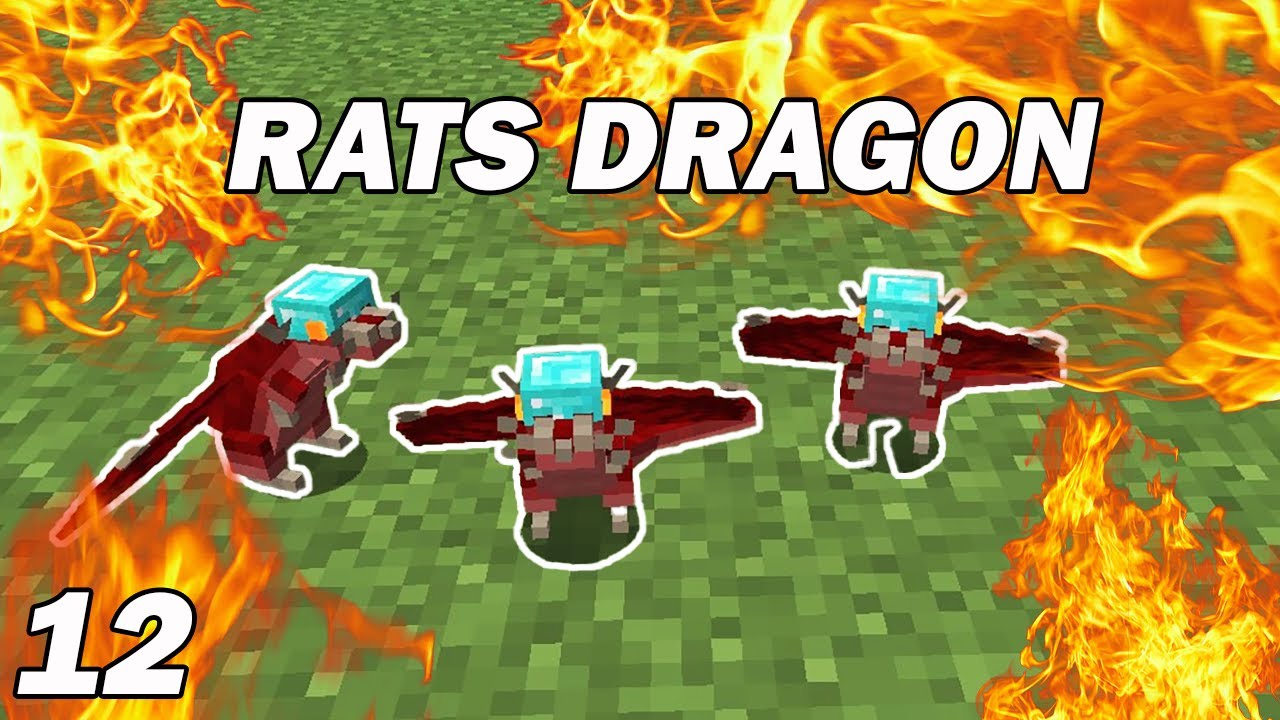 Mon armée de Rats Dragon ! Minecraft Rats 1.20 EP12 - YouTube