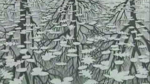 Coxeter, Martin Gardner & M.C. Escher