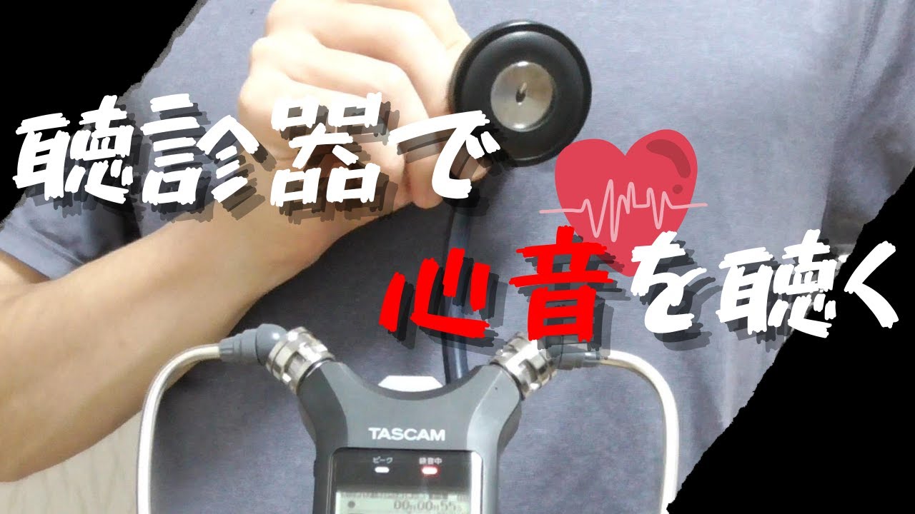 【ASMR】聴診器で心音を聴く！｜Listen to heartbeat sounds with a stethoscope
