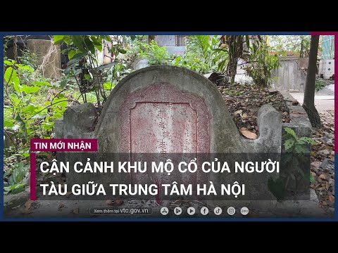 Video: Tủ lạnh 