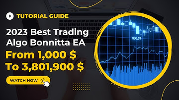 2023 Best Forex Robot - Bonnitta EA From 1,000 USD To 3,801,900 USD