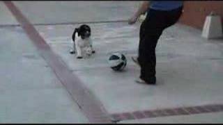 Rudy Vs The Ball