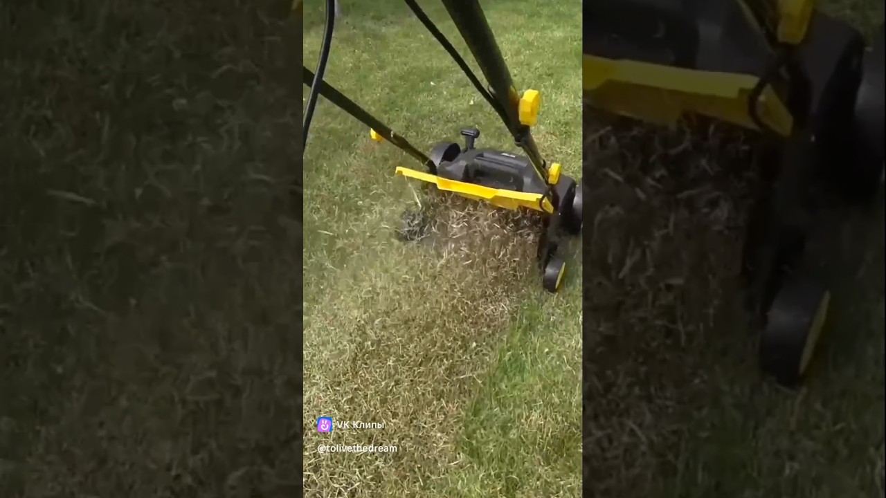 Купили дачу. Ухаживаем за газоном. Для чего нужен скарификатор и аэратор? 