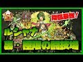 【パズドラ】裏・極限の闘技場ソロ　ルシャナ　この子はやっぱり降臨最強！【実況】